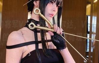 崩溃的将军VS彭湃的塞尔达，Vinnegal的无圣光图片带你逃离现实。