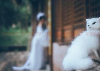 微密圈 – 最近新出的“好H好女杀手”写真，有时候真想问，嗯…你是情感杀手吗？