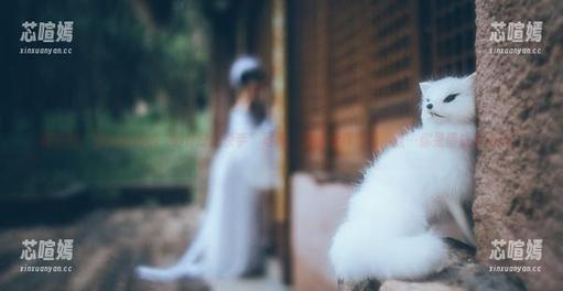 好H好女杀手 微密圈 - 最近新出的“好H好女杀手”写真,有时候真想问,嗯…你是情感杀手吗?