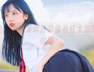 免费合集中，果咩酱带你看红太狼的不同侧面
