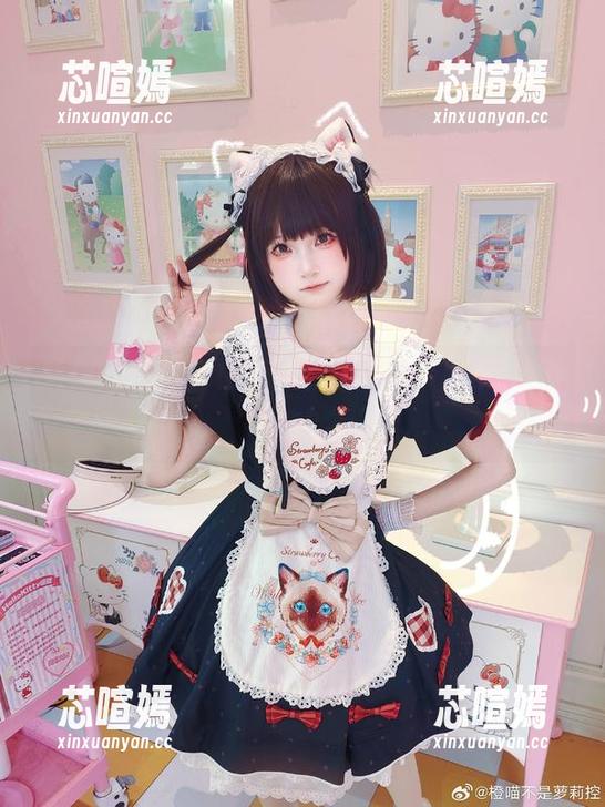 柴郡的美图，橙喵又开了一家“画风”酒店？